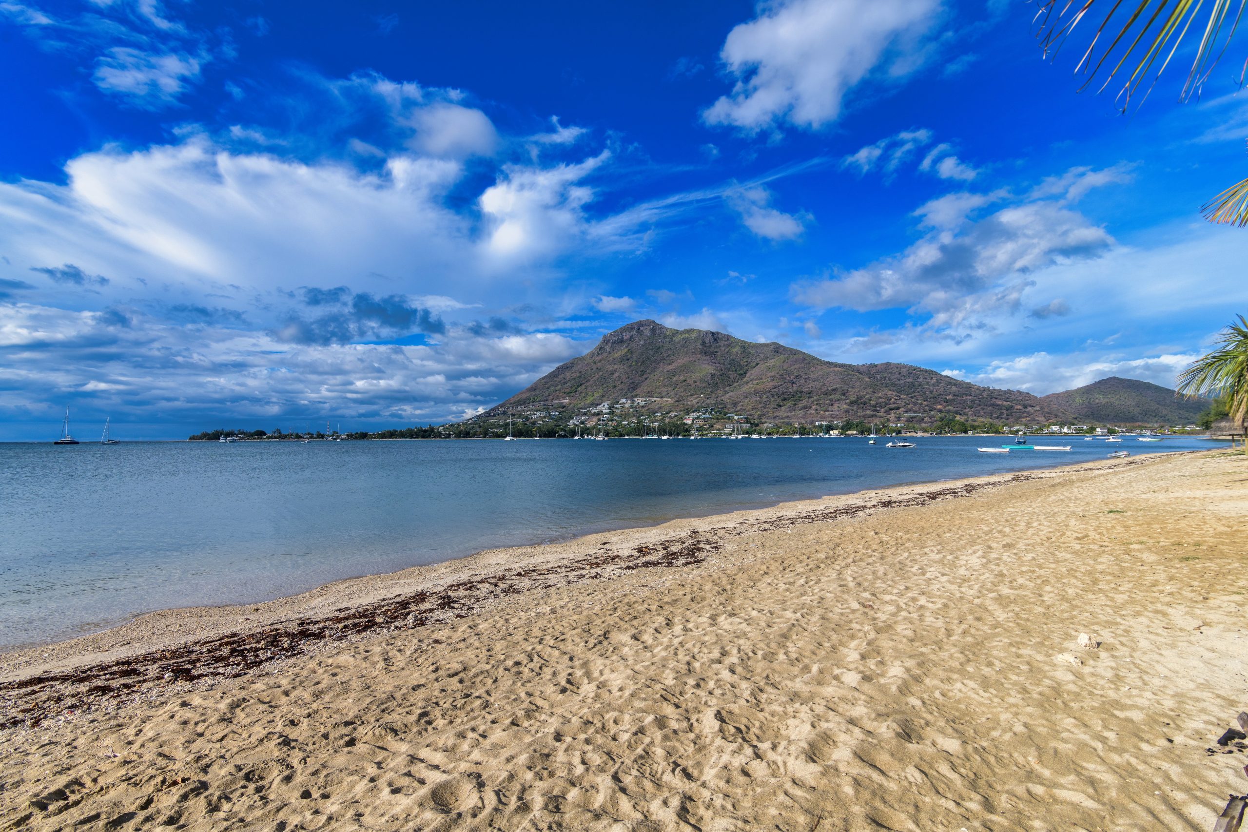 DSC_2050-HDR
