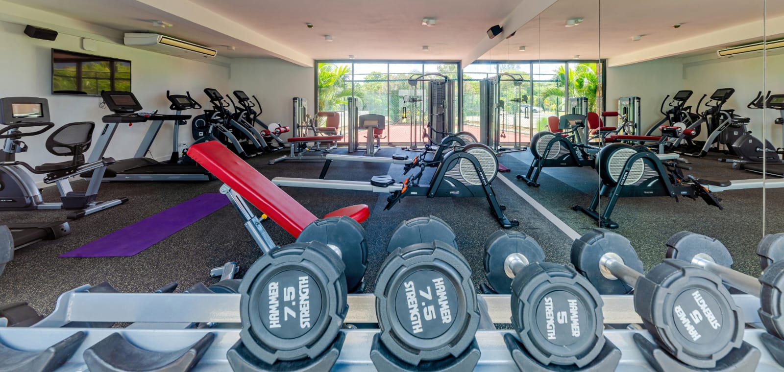 WhatsApp Image 2026-04-27 at 20.45