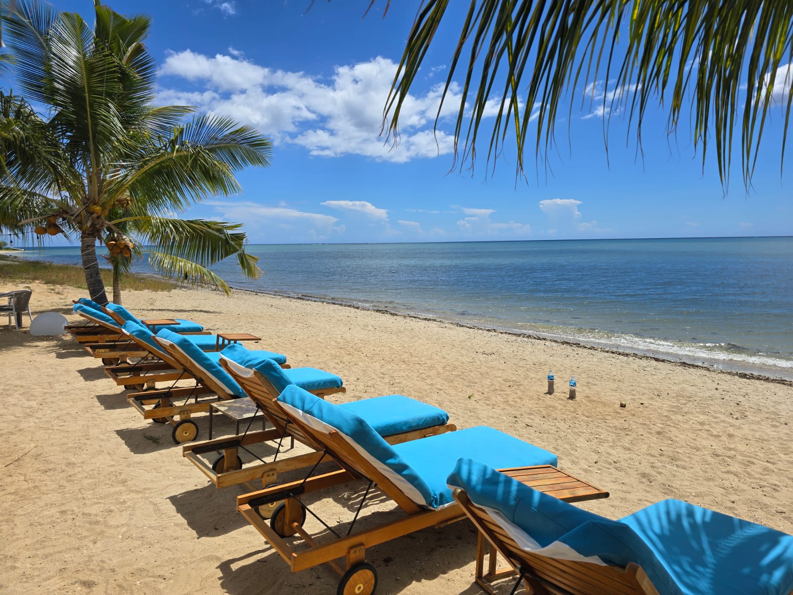 WhatsApp Image 2026-04-27 at 20.45