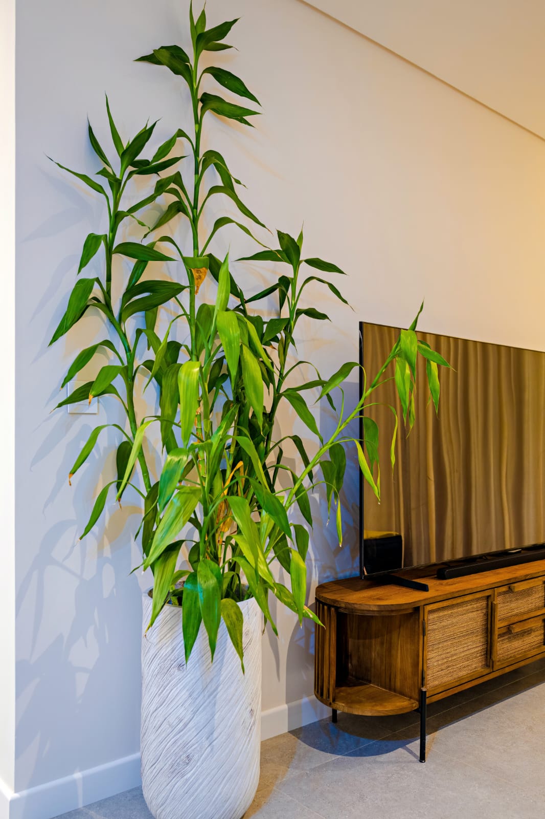 WhatsApp Image 2026-04-27 at 20.45